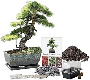 61tgd3q77gl. ac sy300 sx300 ql70 ml2 