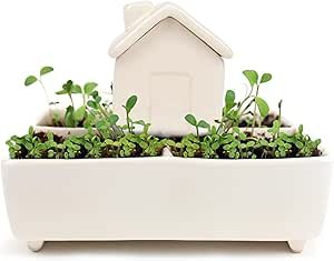 71hfpqnim5l. ac sy300 sx300 ql70 ml2 