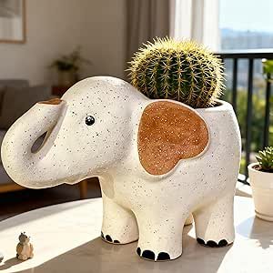 812n0i ujxl. ac sy300 sx300 ql70 ml2 